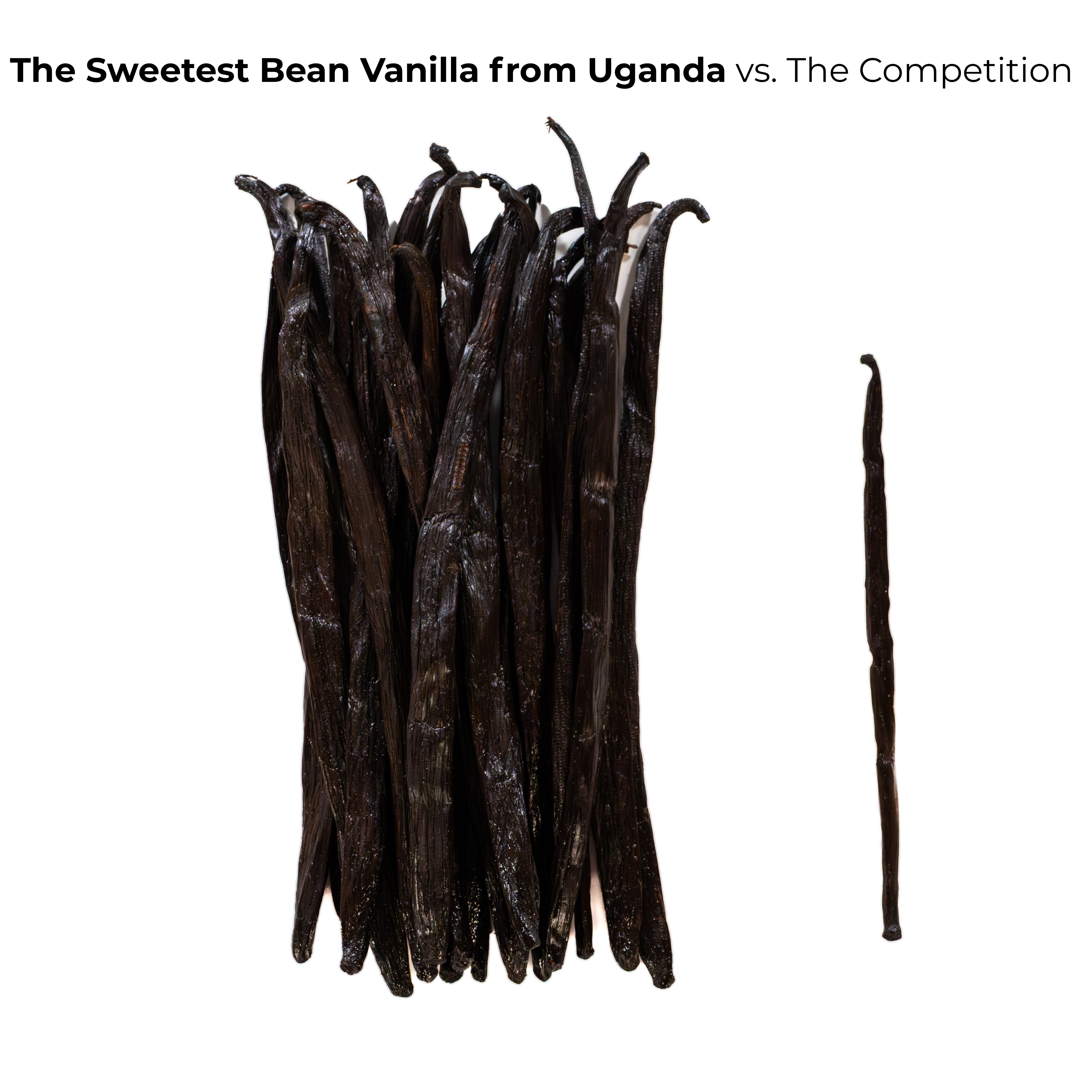 Gourmet Grade-A Ugandan Vanilla Beans, Qty. 25 Beans